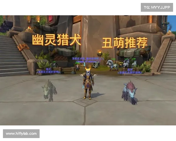 魔兽8.3小宠物升级攻略 魔兽8.3小宠物升级攻略