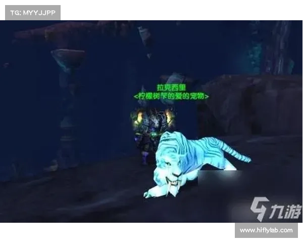 魔兽世界猎人如何击败玩家 魔兽世界猎人如何击败玩家