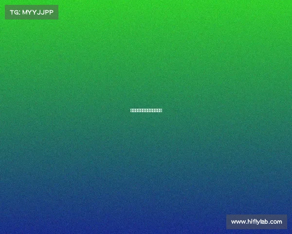 电子竞技基本理论有哪些内容